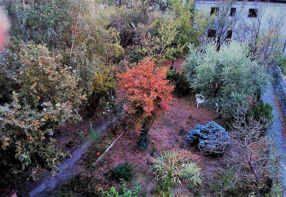 Il Giardino Dei Merli Bussoleno Dış mekan fotoğraf