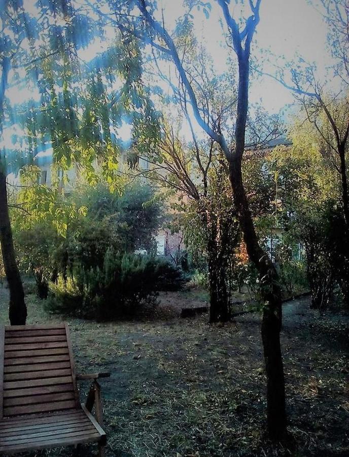 Il Giardino Dei Merli Bussoleno Dış mekan fotoğraf